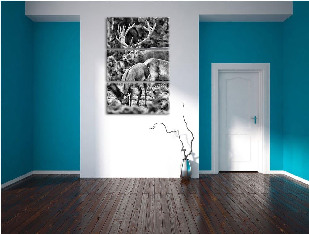 Pixxprint Hirschfamilie auf Waldlichtung als Leinwandbild/Grösse: 3 Teilig (120x80) cm/Wandbild/Kuns
