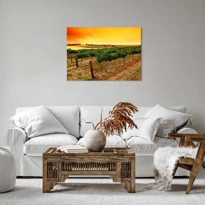 Bilder auf Leinwand Landschaft Weinberg Sonnenuntergang Leinwandbild 70x50cm Wandbilder Dekoration W