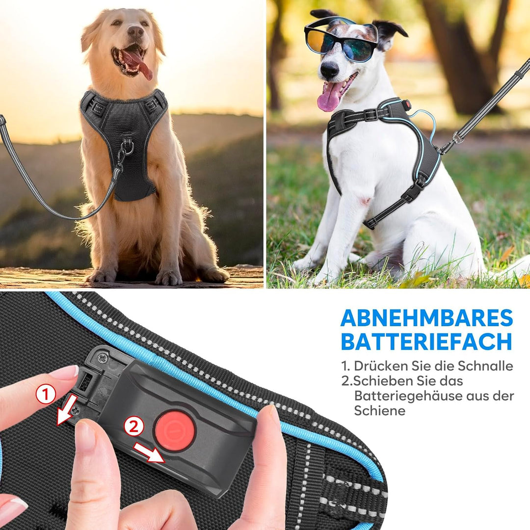 Hundegeschirr Leuchtend Wiederaufladbares Leuchtgeschirr für Hunde Led Beleuchtetes Hundegeschirr fü