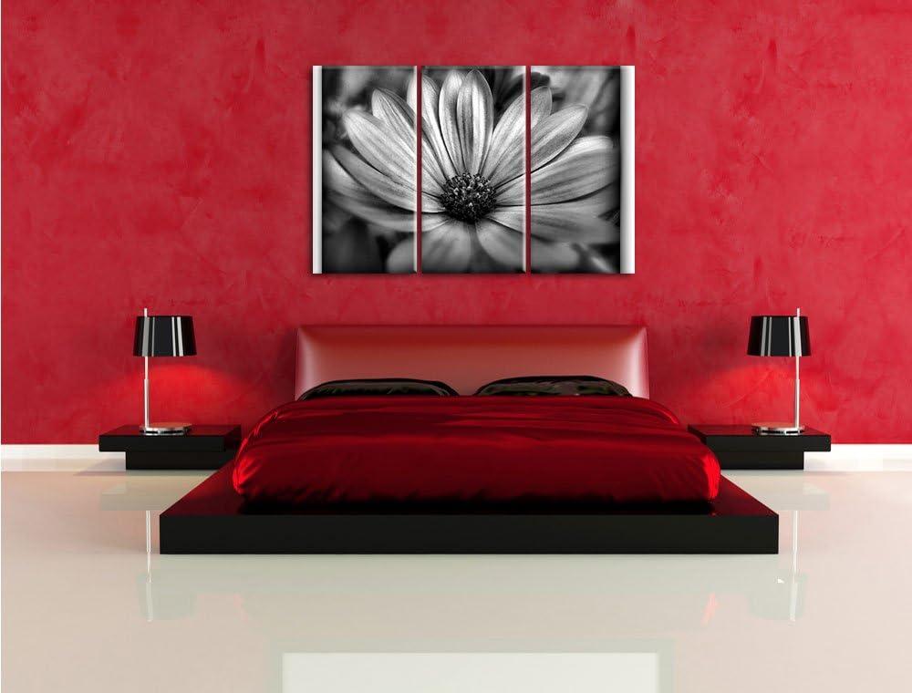 Pixxprint aussergewöhnliche Blume / 3-Teilig/Gesamtmass 120cm Leinwandbild bespannt auf Holzrahmen/W