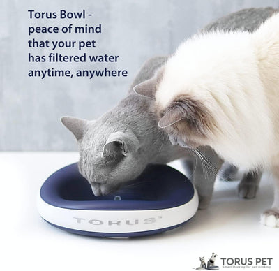 Torus Pet Mini gefilterter Wassernapf (Holzkohle) – 1 Liter – Napf für Zuhause und unterwegs – Autof