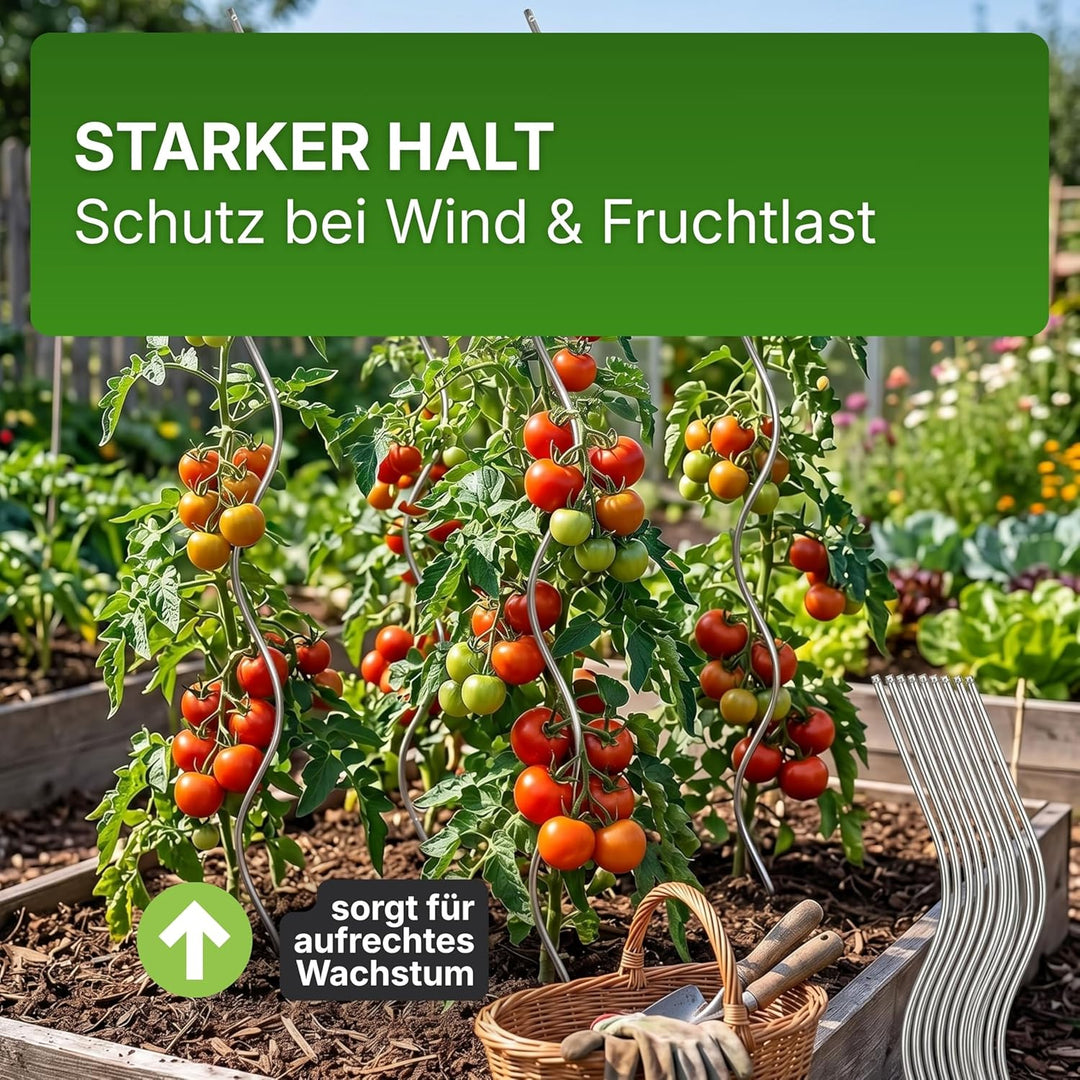 Gartenwelt Riegelsberger Tomatenspiralen Höhe 110 cm aus Stahl Ø 5,6 mm Tomatenspiralstäbe Ranke Pfl