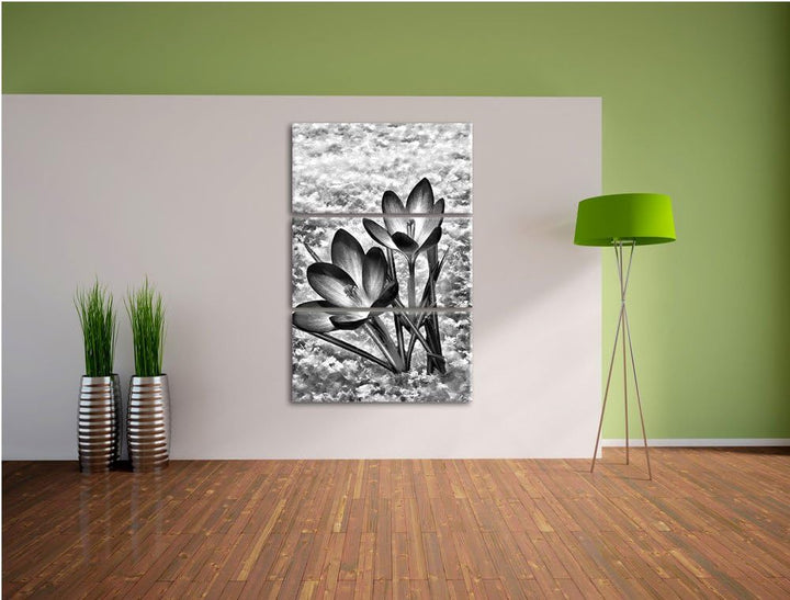 Pixxprint Monocrome, Lila Krokusse im Schnee 3-Teiler Leinwandbild 120x80 Bild auf Leinwand