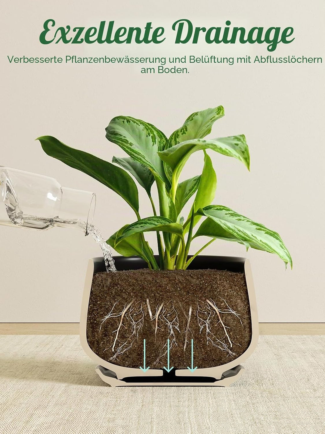 LE TAUCI 3 er Pack Übertöpfe Keramik, 10+13+16 cm Durchmesser Klein Töpfe Set, Blumentopf für Zimmer