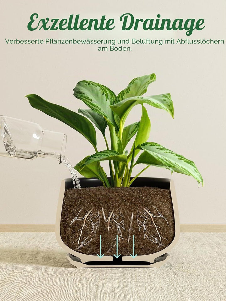 LE TAUCI 3 er Pack Übertöpfe Keramik, 10+13+16 cm Durchmesser Klein Töpfe Set, Blumentopf für Zimmer