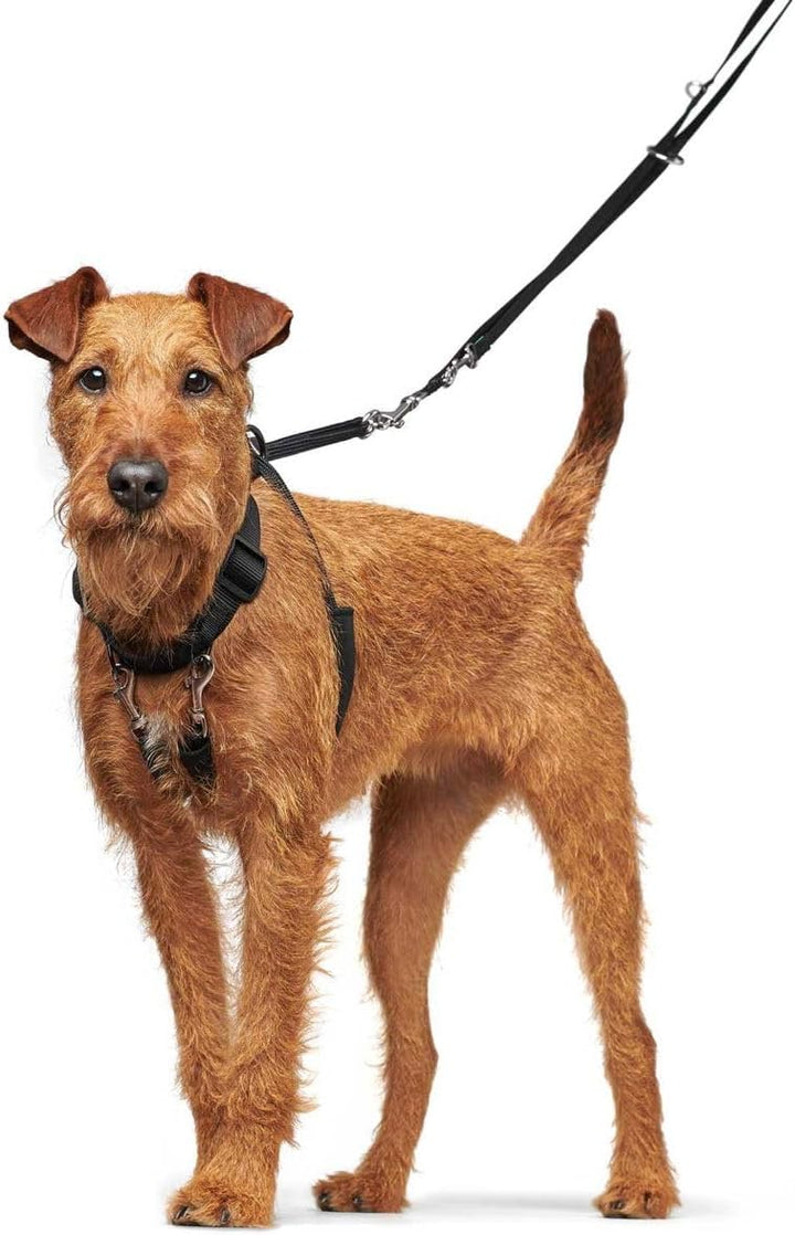 HUNTER Trainings- und Ausbildungsgeschirr Side by Side 47-69 cm, S schwarz 47-69 cm, schwarz 47-69 c