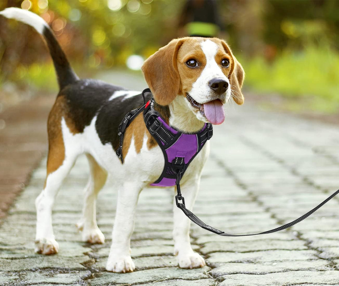 PoyPet Keine Pull Hundegeschirr Front Reflektierende Pet Weste für Hunde mit Einfache Kontrolle Grif
