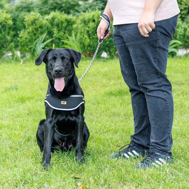 Ferplast Hundegeschirr grosse Hunde Geschirr Hunde ERGOCOMFORT NORDIC 3, Halsumfang: 65 cm, Brustumf