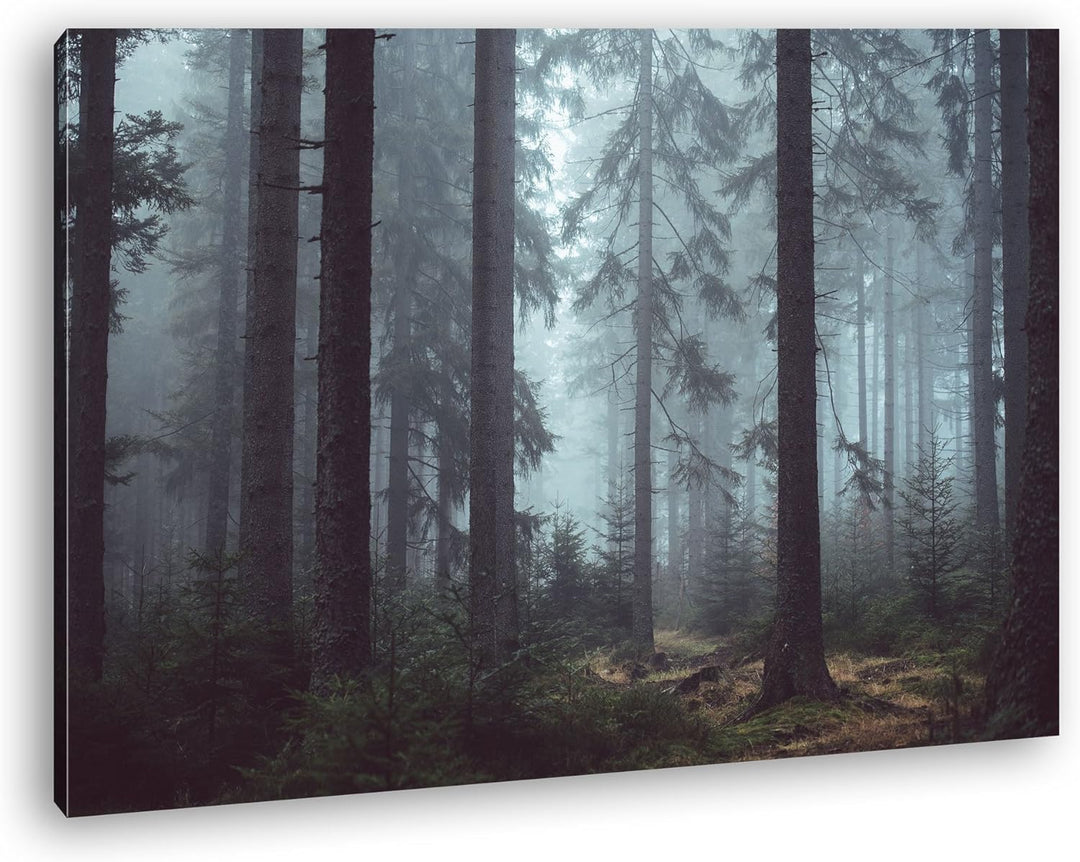 deyoli mysteriöser Nadelwald Format: 80x60 als Leinwand, Motiv fertig gerahmt auf Echtholzrahmen, Ho