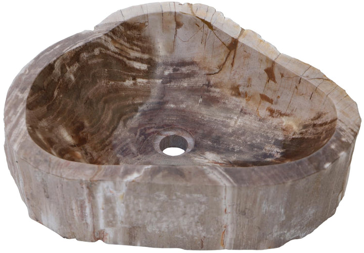 GURU SHOP Massives Fossiles Holz Aufsatz-Waschbecken, Waschschale, Naturstein Handwaschbecken - Mode