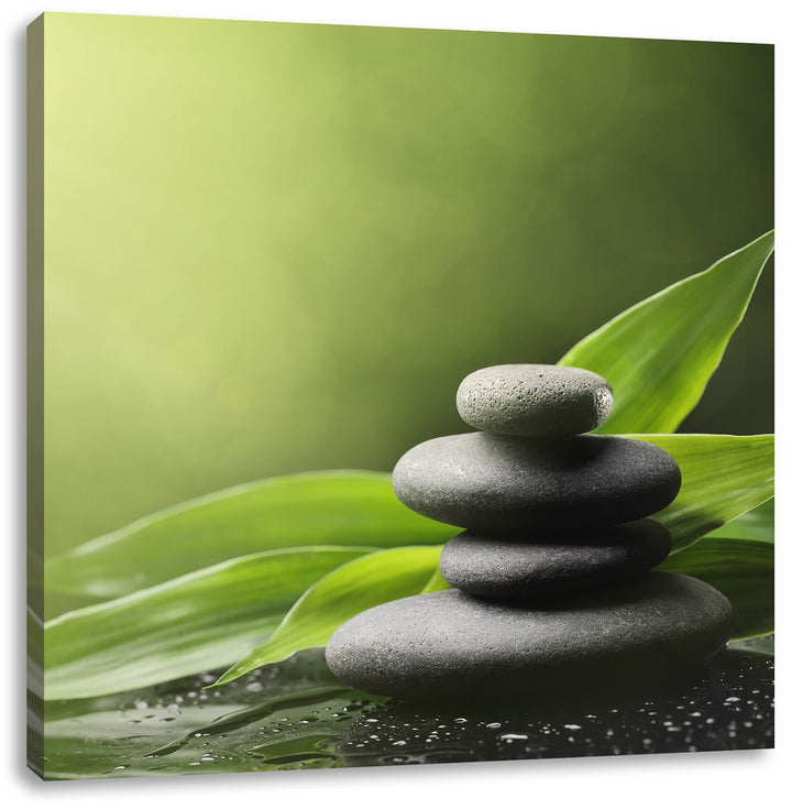 Zen Steine mit Blättern, Format: 70x70 auf Leinwand, XXL riesige Bilder fertig gerahmt mit Keilrahme