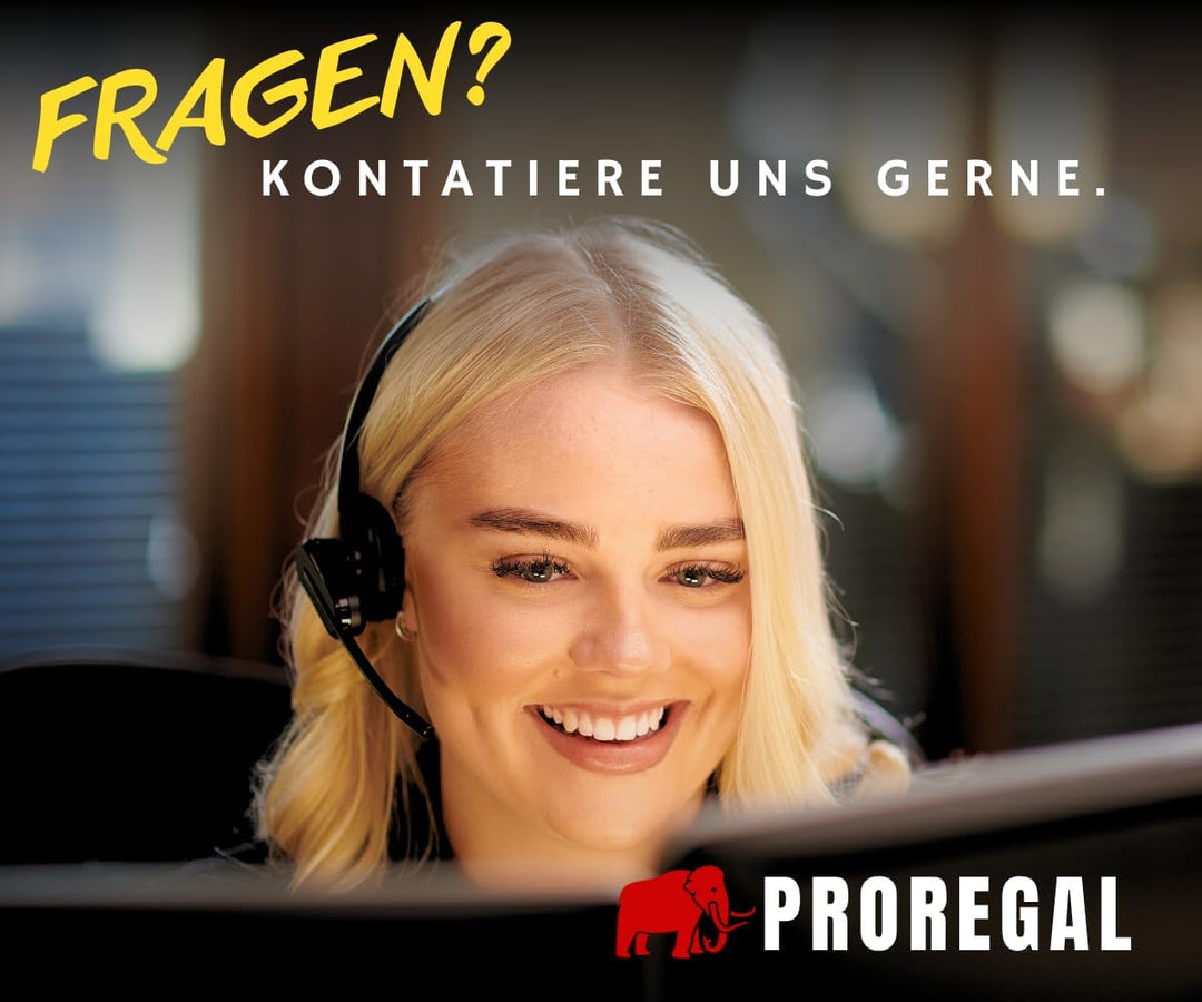 PROREGAL Profi Transportroller Hercules 30x60 cm Schwerlast bis 200 kg mit 4 Gummirollen &amp; Griff, Sp