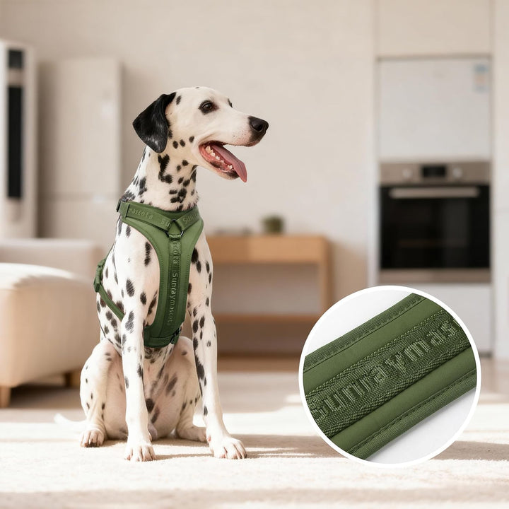 No Pull Hundegeschirr mit weicher Lycra-Polsterung, atmungsaktiver Komfortweste aus Mesh, Verstellba