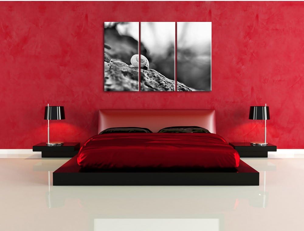 Pixxprint kleine Schnecke auf Stein als Leinwandbild/Grösse: 3 Teilig (120x80) cm/Wandbild/Kunstdruc