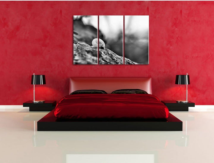 Pixxprint kleine Schnecke auf Stein als Leinwandbild/Grösse: 3 Teilig (120x80) cm/Wandbild/Kunstdruc