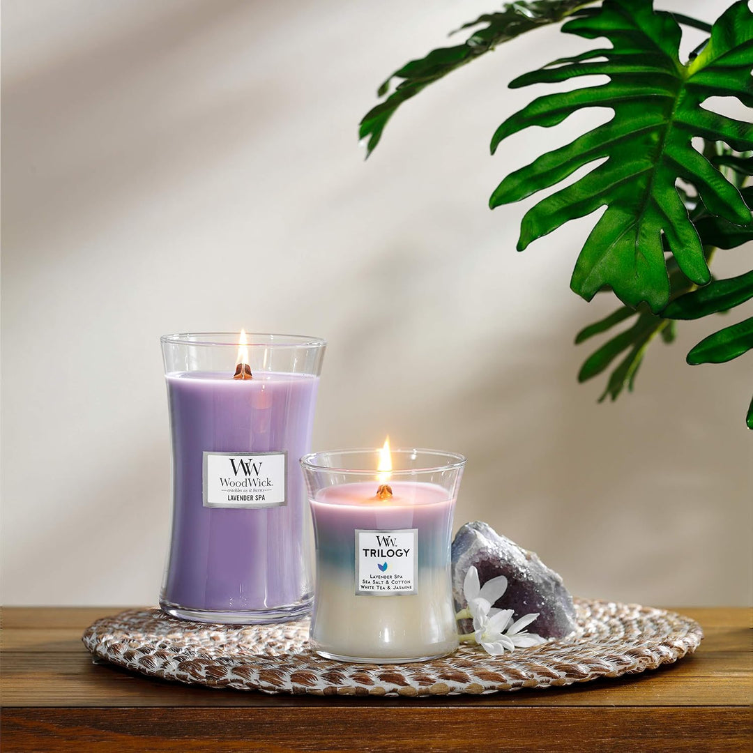 Virginia Kerze mit Lavendelduft, Brenndauer 180 Stunden, 610 g Gross Lavender Spa, Gross Lavender Sp
