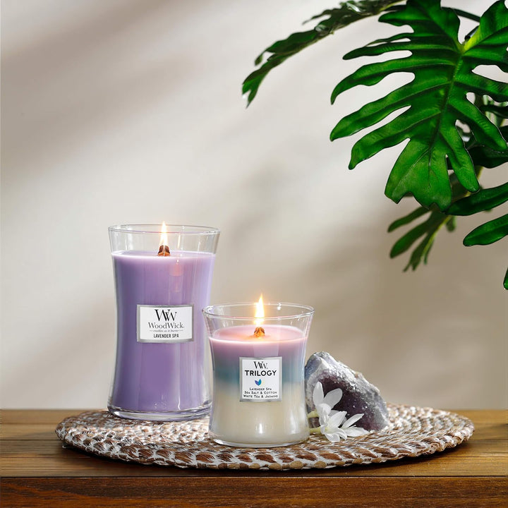Virginia Kerze mit Lavendelduft, Brenndauer 180 Stunden, 610 g Gross Lavender Spa, Gross Lavender Sp