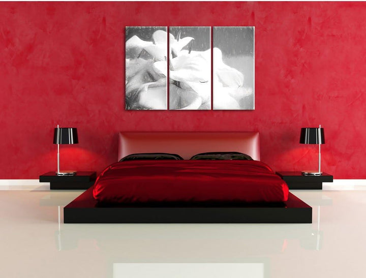 Pixxprint Calla Lilien / 3-Teilig/Gesamtmass 120cm Leinwandbild bespannt auf Holzrahmen/Wandbild Kun