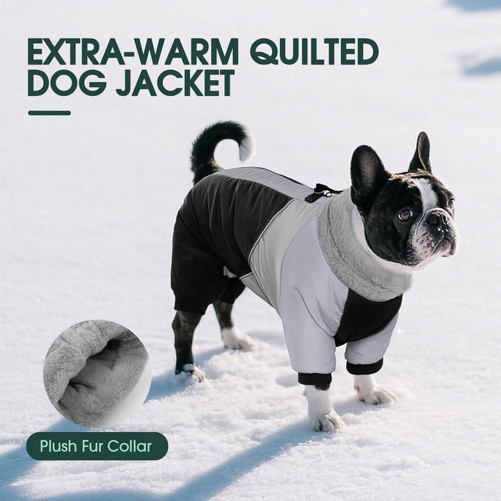 Kuoser Wasserdichter Hundemantel - Wärmer Für Kleine Hunde, Winter Hundemantel Mit Geschirr, Moden H