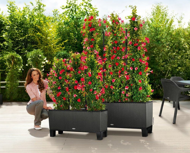 LECHUZA TRIO Cottage 30 Sockel schwarz 15012 Pflanzgefäss mit Erd-Bewässerungs-System 15x31x59 cm Sc