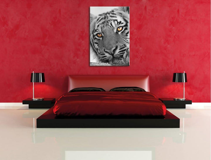 Pixxprint entspannter Tiger schwarz/weiss als Leinwandbild/Grösse: 120x80 cm/Wandbild/Kunstdruck/fer