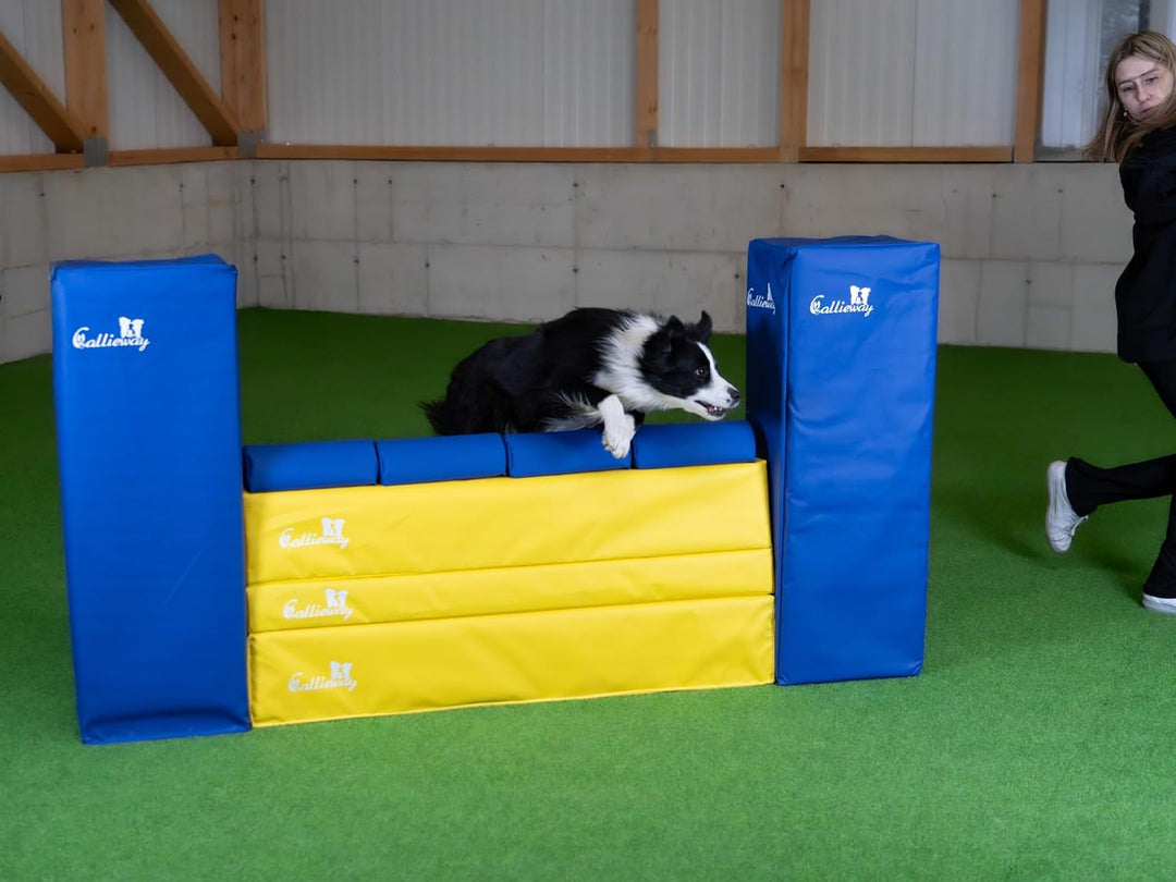 Callieway Turnier Agility Mauer „Bounce Over - Soft“ – alle FCI Sprunghöhen (gelb/blau), gelb/blau