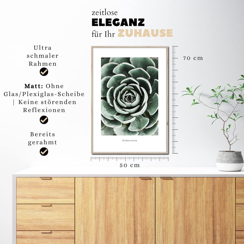 STYLER Rahmenbild Echeveria | Artbox Wandbild | Bild mit Holz Rahmen Optik Framepic | Pflanze aus Me