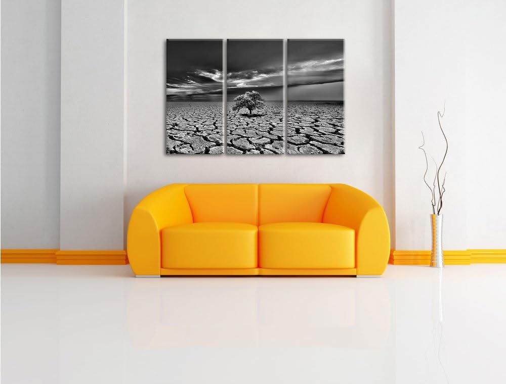 Pixxprint Monocrome, Der letzte Baum im ausgetrockneten Boden 3-Teiler Leinwandbild 120x80 Bild auf