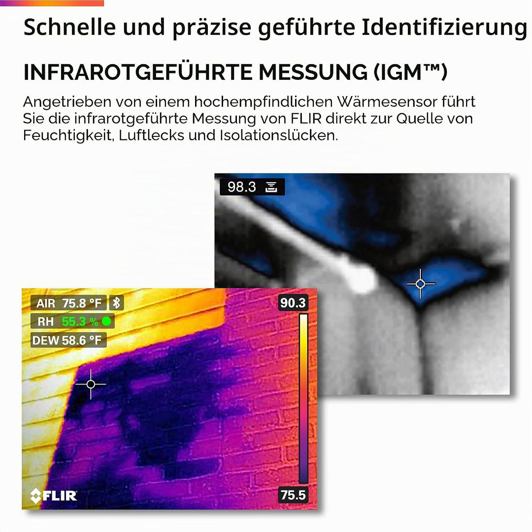 Flir MR160 Imaging Feuchtigkeitsmesser, MR160