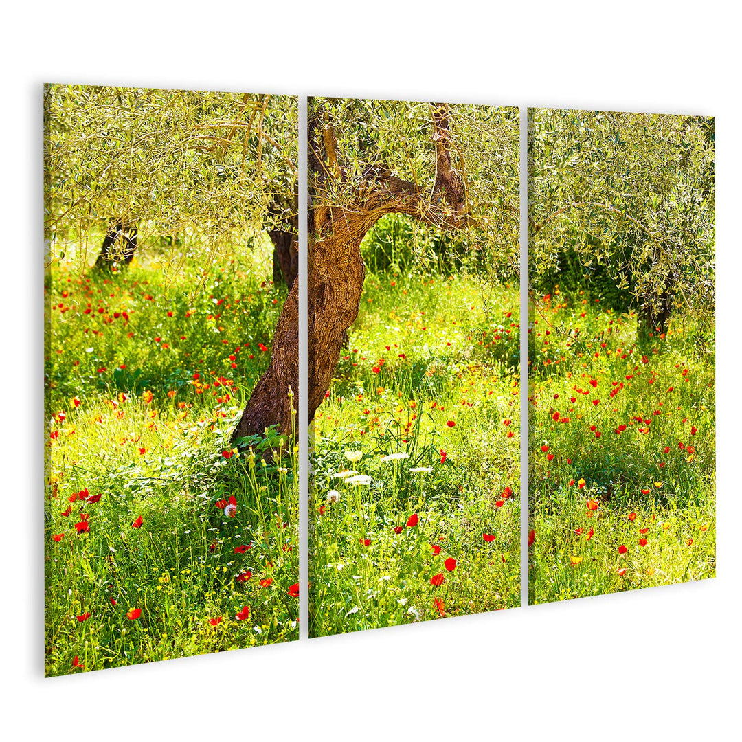 islandburner Bild auf Leinwand Mohnblumen Wiese Baum Bilder Wandbilder Poster Leinwand 130x80cm - 3