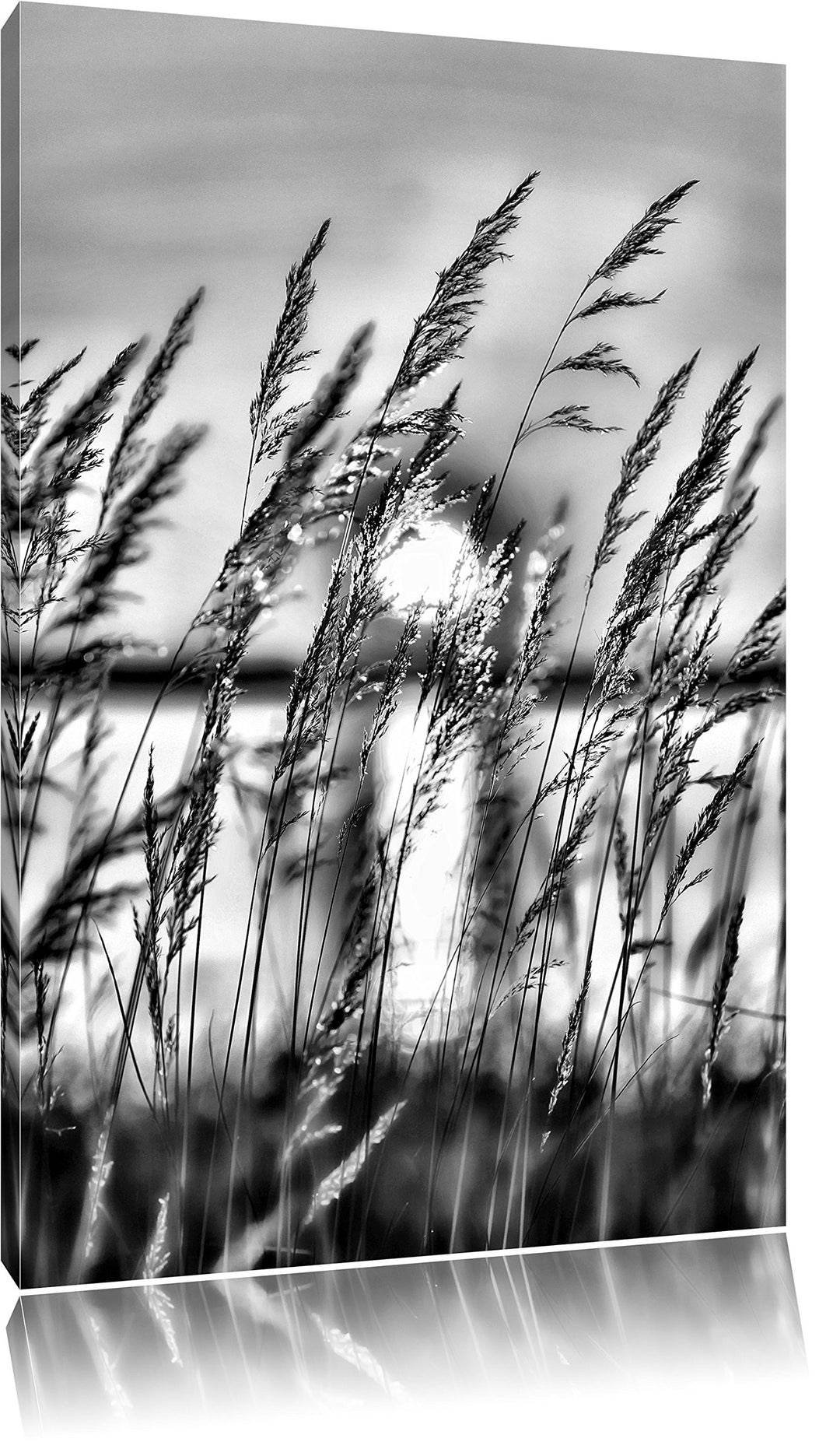 Pixxprint Sonne zwischen Gräsern / 100x70cm Leinwandbild bespannt auf Holzrahmen/Wandbild Kunstdruck