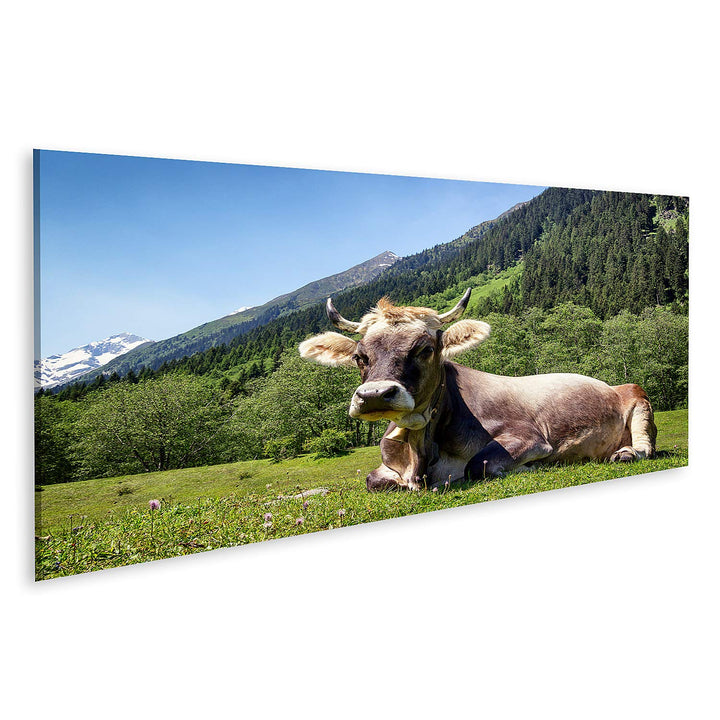 islandburner Bild auf Leinwand Kuh Europäische Alpen Bilder Wandbilder Poster Leinwand 120x40cm - Pa