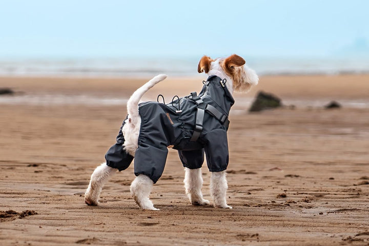 BT Bear Hundegeschirr, Regenmantel, verstellbar, 4 Beine, Hundejacke mit Geschirr, reflektierender O