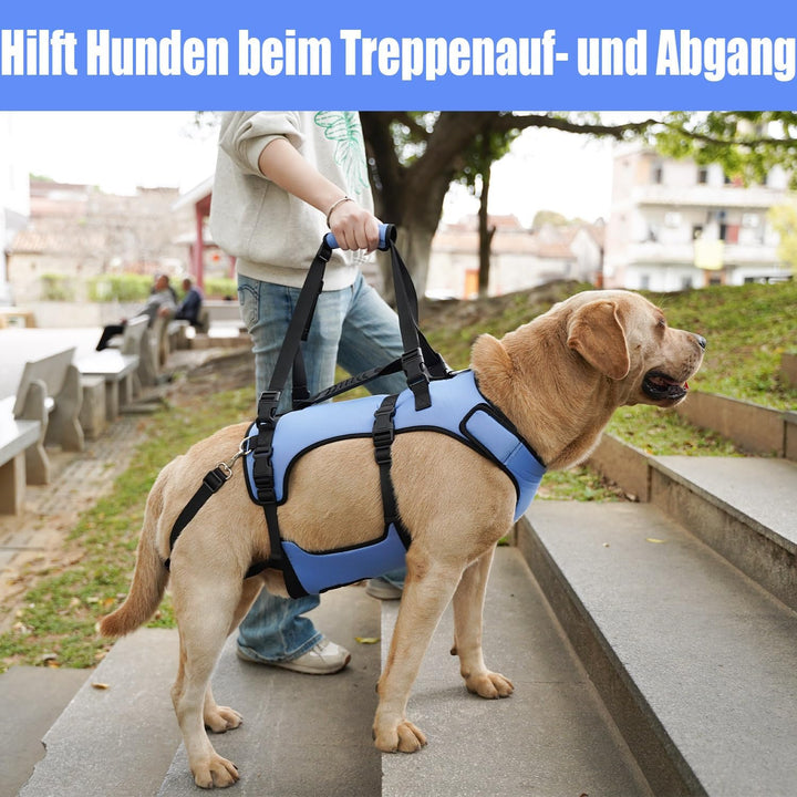 COODEO Hundegeschirr, Ganzkörperstütze und Erholungsweste, verstellbar und atmungsaktiv, für ältere,
