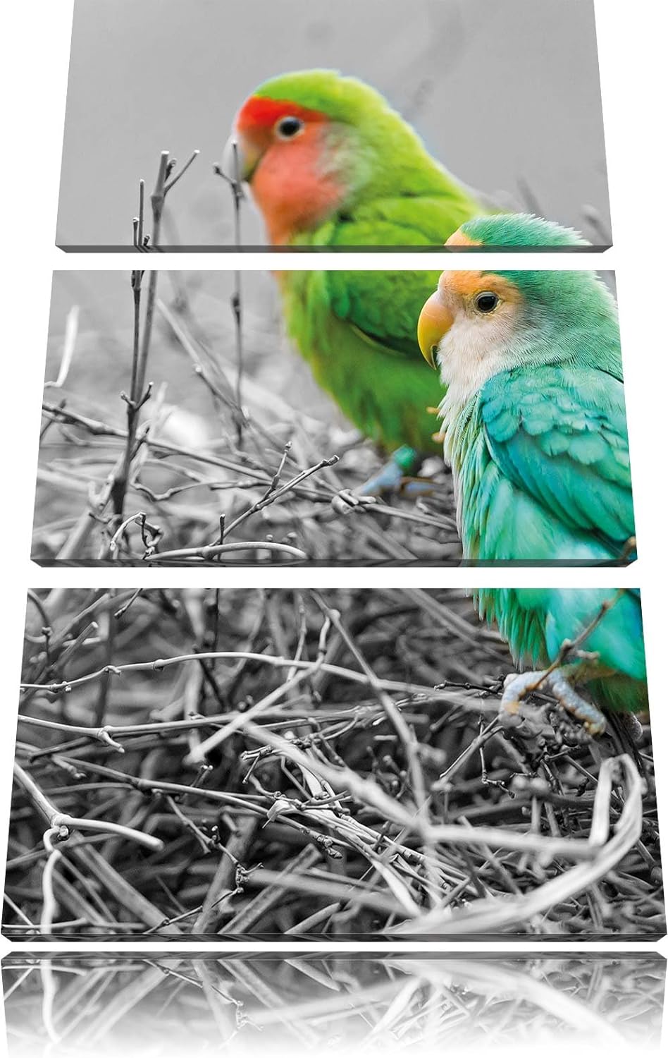 kleine Papageien im Nest schwarz/weiss 3-Teiler Leinwandbild 120x80 Bild auf Leinwand