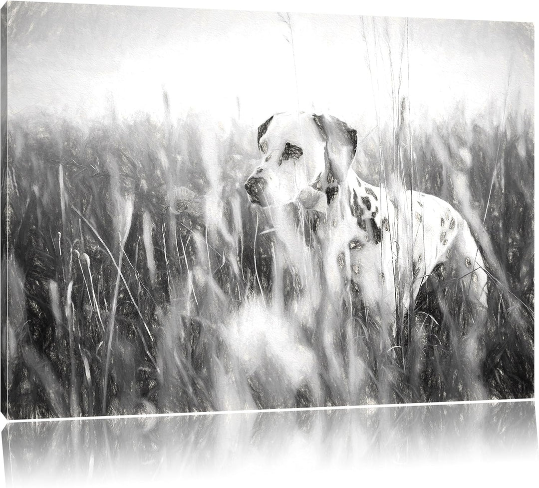 Pixxprint Neugieriger Hund im Feld Kunst als Leinwandbild/Grösse: 100x70 / Wandbild/Kunstdruck/ferti