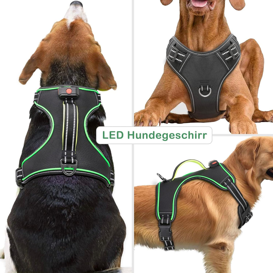 Hundegeschirr Leuchtend Wiederaufladbares Leuchtgeschirr für Hunde Led Beleuchtetes Hundegeschirr fü