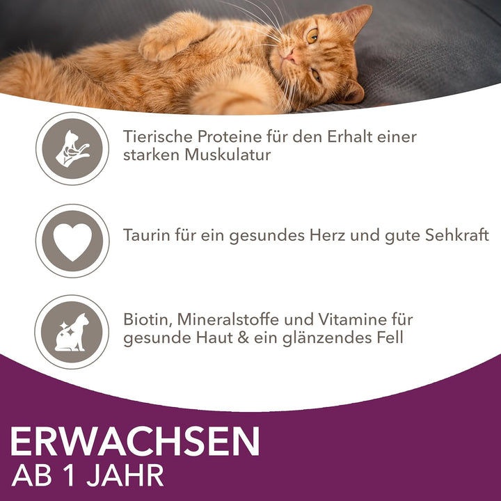 IAMS Delights Land & Sea Collection Katzenfutter Nass - Multipack mit Fleisch und Fisch Sorten in Sa
