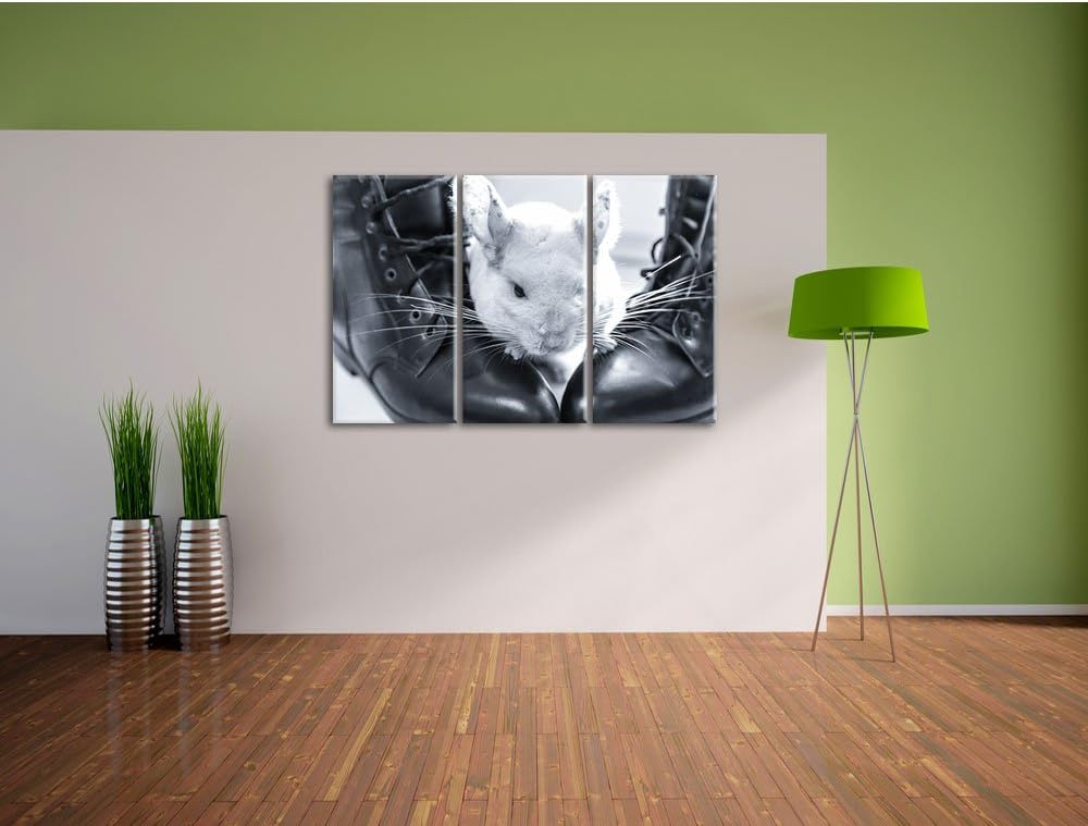 Pixxprint Chinchilla zwischen Schuhen als Leinwandbild/Grösse: 3 Teilig (120x80) cm/Wandbild/Kunstdr