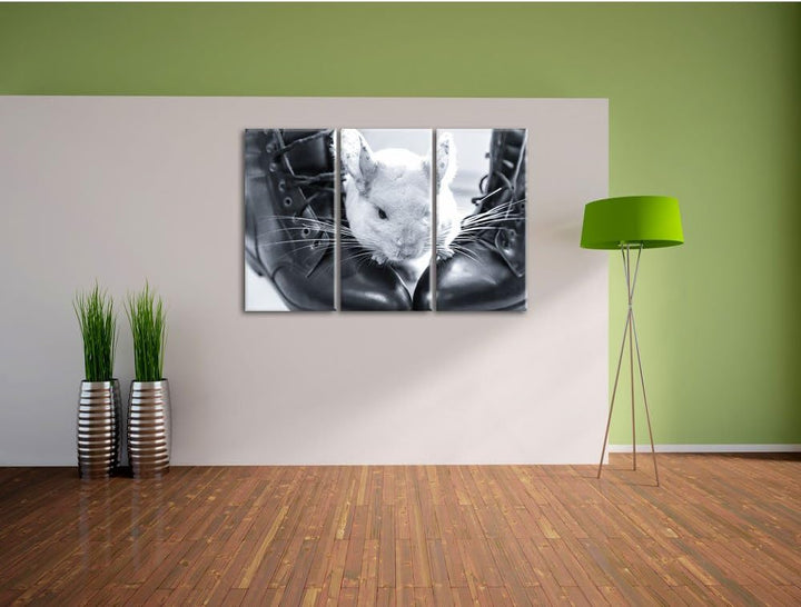 Pixxprint Chinchilla zwischen Schuhen als Leinwandbild/Grösse: 3 Teilig (120x80) cm/Wandbild/Kunstdr