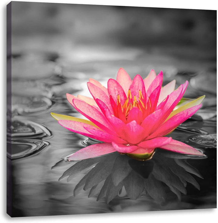 Pixxprint Schöne Seerose als Leinwandbild/Grösse: 70x70 cm/Wandbild/Kunstdruck/fertig bespannt, 70x7
