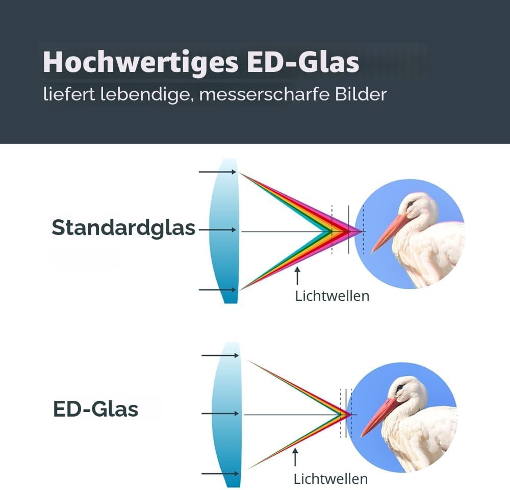 Celestron 72336 Nature DX ED 12x50 Fernglas für Natur- und Vogelbeobachtungen mit Objektivlinsen mit