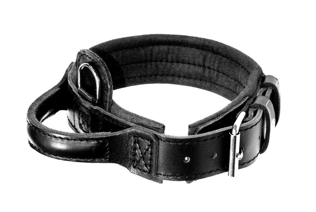 Dingo Gear Lederhalsband für Hund ''Drago'' Amortisiert Schwarz mit Griff Handgefertigt S04020, 40-4