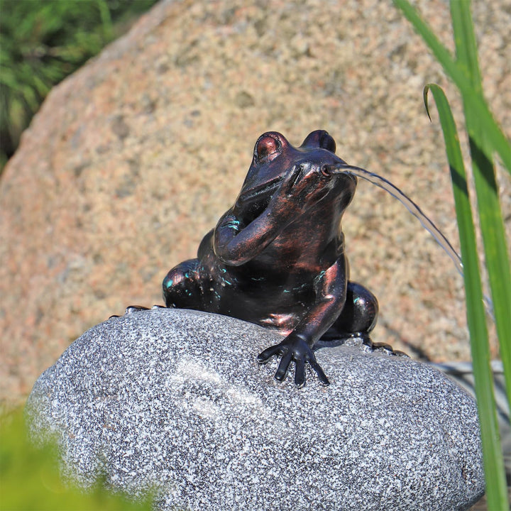 Wasserspeier Komplettset Frosch auf einem Stein NSP10E mit strombetriebener 12V Pumpe Springbrunnen