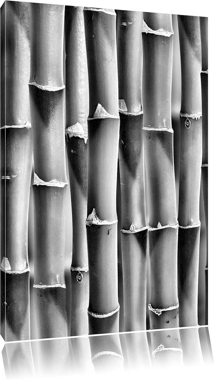 Pixxprint Grüner frischer Bambus als Leinwandbild/Grösse: 100x70 / Wandbild/Kunstdruck/fertig bespan