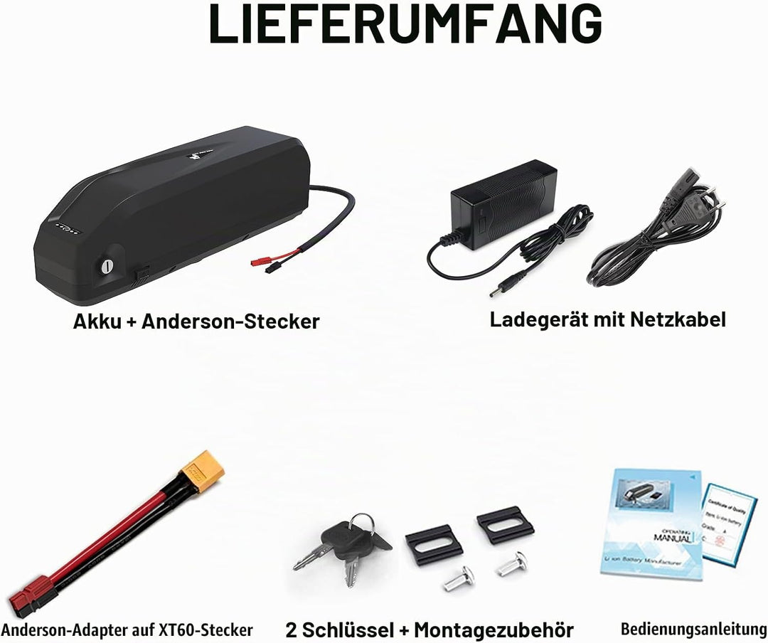 Yasco 48v 13ah Ebike Akku Elektro Fahrrad Batterie Lithium Ionen Fahrrad Batterie mit Ladegerät, eBi