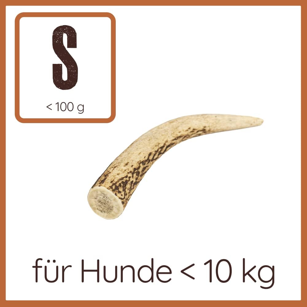 Wildfang® Rothirsch Geweih mit Lachsöl für Hunde I Natürlicher Hunde Kauknochen - Zahnpflege - Kaumu