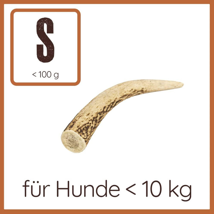 Wildfang® Rothirsch Geweih mit Lachsöl für Hunde I Natürlicher Hunde Kauknochen - Zahnpflege - Kaumu