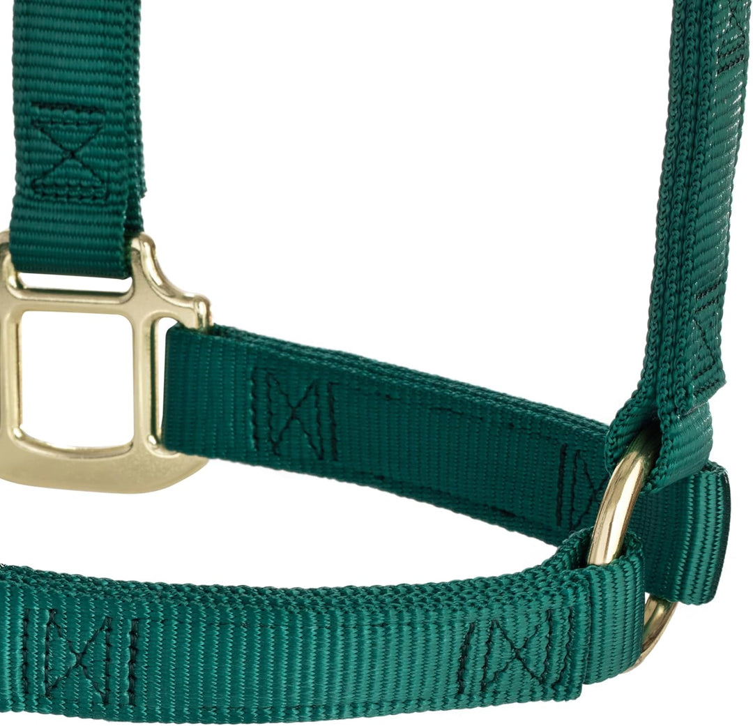 WEAVER Leather, Nicht verstellbares Halfter Jäger-Grün Average Horse, Jäger-Grün Average Horse
