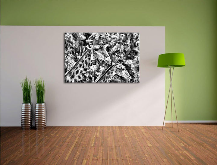 Monocrome, Giraffen, Format: 100x70 auf Leinwand, XXL riesige Bilder fertig gerahmt mit Keilrahmen,